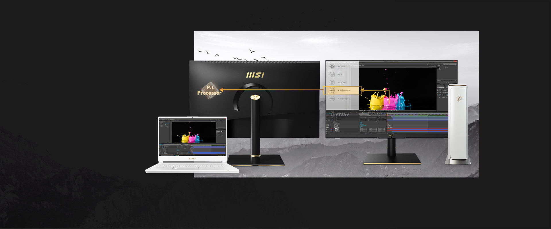 MSI Monitor